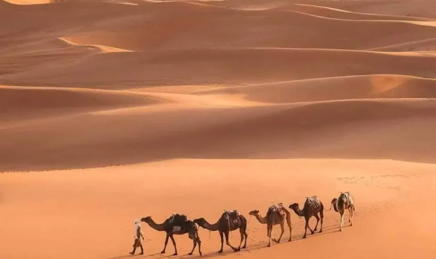 Morocco Tours & Travel Guide 2025