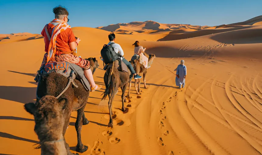 Quand Visiter le Maroc ? Guide Mois par Mois 2025
