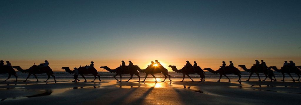 7Days casablanca tour