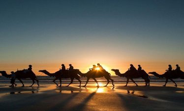 7Days casablanca tour