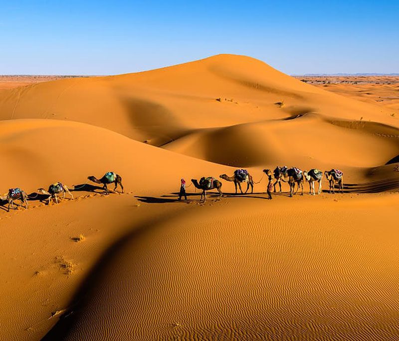 merzouga desert